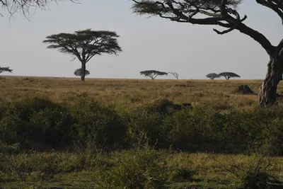 DSC_3793 (Large).JPG